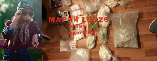 PSILOCYBIN Беломорск